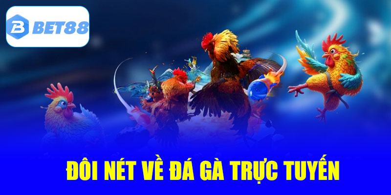 Đôi nét về chuyên mục đá gà trực tuyến